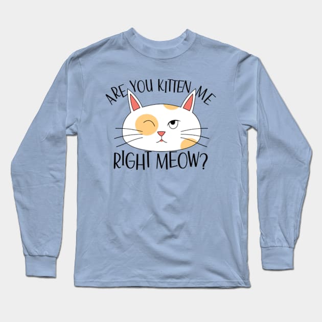 Are You Kitten Me Right Meow Funny Cat Long Sleeve T-Shirt by JaiStore